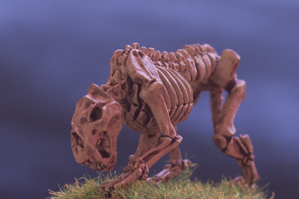 squelette skeletal lion